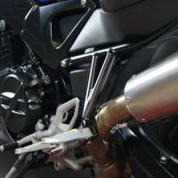 Escape compatible con Bmw F 800 R 2017-2019, Albus Evo4, Escape legal, homologado, silenciador con db killer desmontable y tubo de conexión específico 
