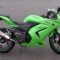 Escape compatible con Kawasaki Ninja 250 R 2007-2016, Gpe Ann. titanium, Escape racing, silenciador con tubo de conexion, articulo sin homologacion 