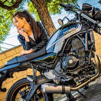 Escape compatible con Kawasaki Z 650 RS 2021-2023, Satinox, Escape completo, no legal para países de la UE, con db killer extraíble 