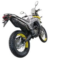 GPR escape compatible con  Voge 300Rally 2022-2024, Furore Evo4 Poppy, Escape legal, homologado, silenciador con catalizador, db killer desmontable y tubo de conexión específico 